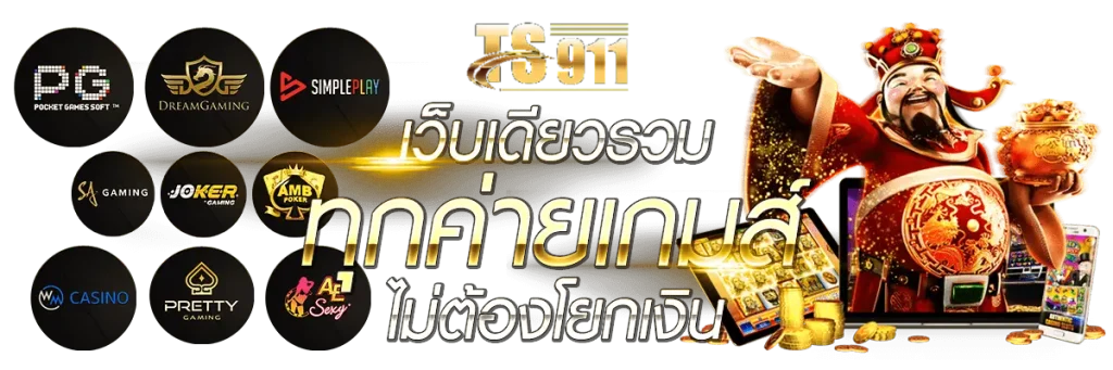 ts911vip login